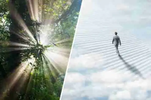 Is This Proof of Life After Death? Doctor Claims Hearing 